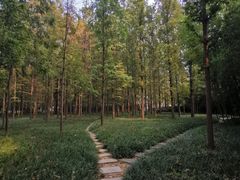 -河南省黄河迎宾馆