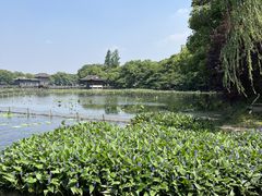 -杭州植物园