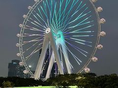-深圳前海华侨城JW万豪酒店光之翼·港湾尚膳