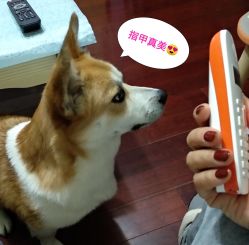 -爱睫物语·疗愈美睫美甲