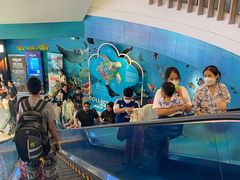 -暹罗海洋世界
