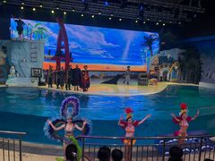 -三亚海昌梦幻海洋不夜城