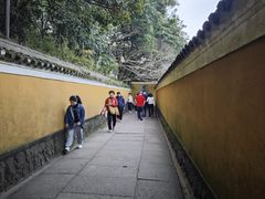 -普陀山慧济禅寺