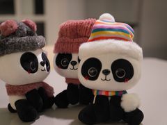 -熊猫屋(宽窄巷子景区店)