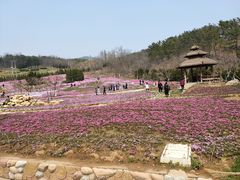 -棒棰岛宾馆景区