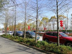 -上海长兴岛郊野公园