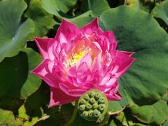 -南戴河国际娱乐中心