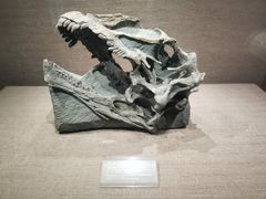 -自贡恐龙博物馆