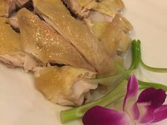 -白云中餐厅·粤菜·亚龙湾喜来登度假酒店