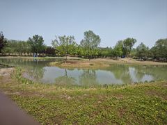 -永定河休闲森林公园