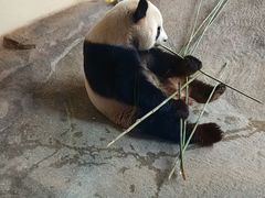 -宁波野生动物园