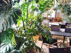 -J Create城市露营咖啡·简餐·宠物(上海动物园店)