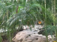 -龙达温泉生态城