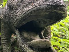 -青青世界