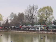 -尚庄度假村·庭台树下·户外烧烤·团建CS·轰趴营地(上庄水库店)