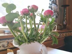 -火车头法国西餐厅