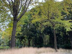 -苏州河梦清园环保主题公园