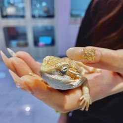 -Moni星球萌宠·小马宝莉·灵蛇·高端高阶全萌宠互动体验俱乐部(红豆国际广场店)