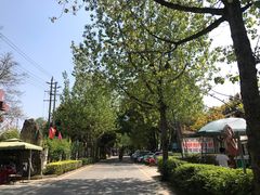 -三圣花乡旅游区