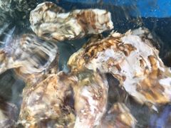 -晓伟海鲜家常菜