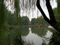 -微山湖红荷湿地景区
