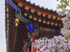 -西安市广仁寺