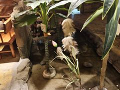 -城墙拐拐火锅(三峡广场黑金冠店)