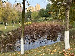 -沐仙湖湿地公园