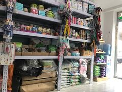 -中农大我爱我爱24h动物医院·中医针灸·猫专科·骨科医疗中心(双井店)
