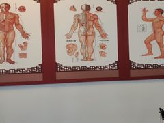 -妙手堂正骨推拿