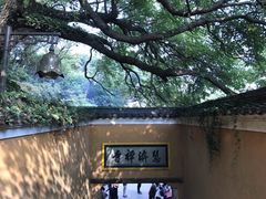 -普陀山风景区-佛顶山