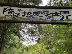 -青龙大瀑布