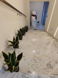 -海涛医疗美容·面部抗衰·注射美鼻