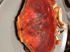 -济南凯宾斯基酒店-THE VIEW云景全日制餐厅