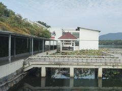 -箸福·夜上海(月牙湖公园店)