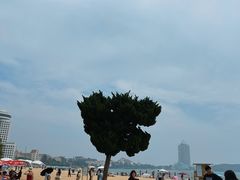 -青岛第一海水浴场