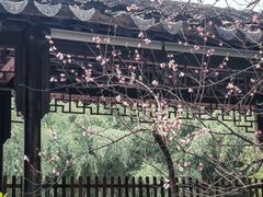 -江宁织造博物馆