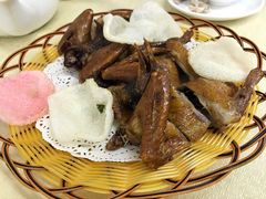-广宁炭炉鸡煲·富临门饭店