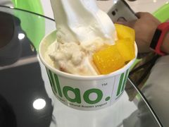 -Salud撒露欧洲冻酸奶(蓝色港湾店)