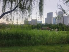 -西海子公园
