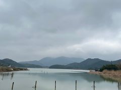 -鸣鹤古镇
