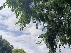 -绍兴东湖风景区