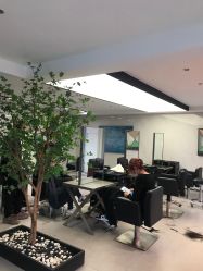 -付军剪艺JF ProSalon