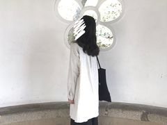 -香雪海