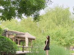 -春风习习