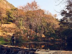-广州市石门国家森林公园