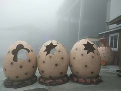 -梦幻奥陶纪景区