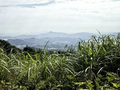 -广州市帽峰山景区
