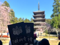 -醍醐寺