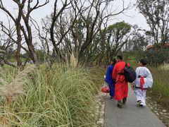 -白鹭湾湿地公园